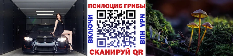 Галлюциногенные грибы мицелий  наркотики  Мамоново 